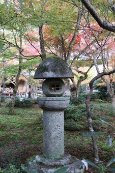 圓光寺　十牛之庭の石燈籠 圓光寺,十牛之庭,石燈籠の写真素材