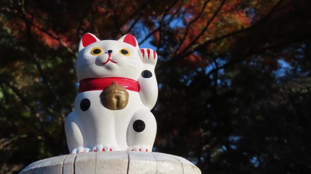 招き猫　紅葉狩り 招き猫,縁起物,置物の写真素材