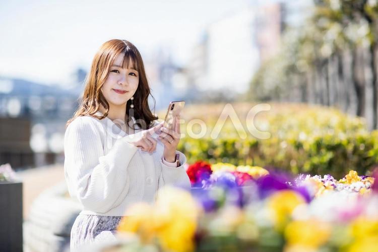 スマホを操作する若い女性 女性,スマホ,電話の写真素材