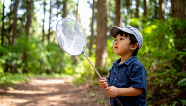 虫取りをする子供 虫取りをする子供の写真