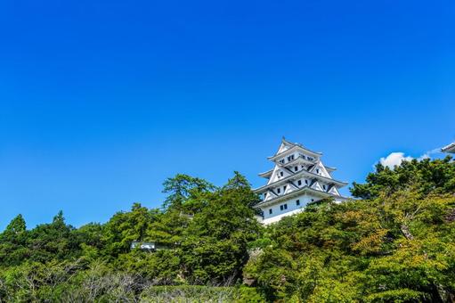 青空と郡上八幡城 岐阜県郡上市 郡上,郡上八幡城,城の写真素材