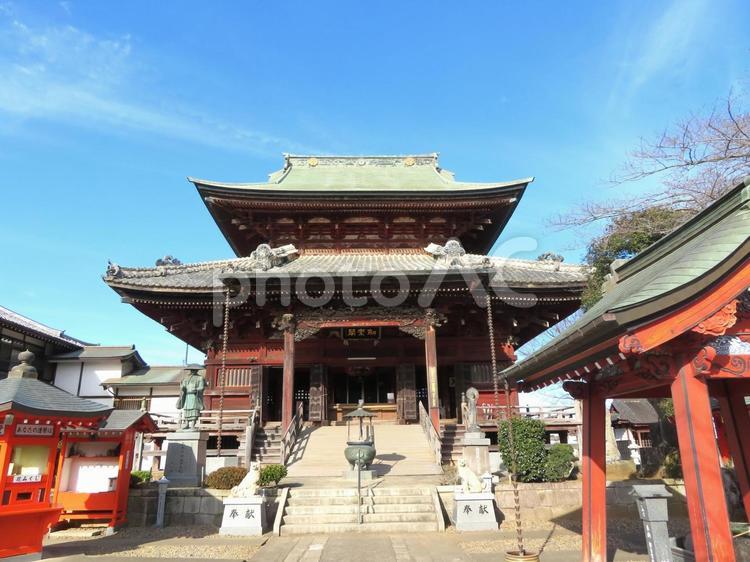 つくばみらい市板橋不動尊（不動院） 板橋不動尊,不動院,大本堂の写真素材