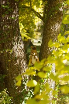 帽子を被ったりす あみぐるみ,森,リスの写真素材