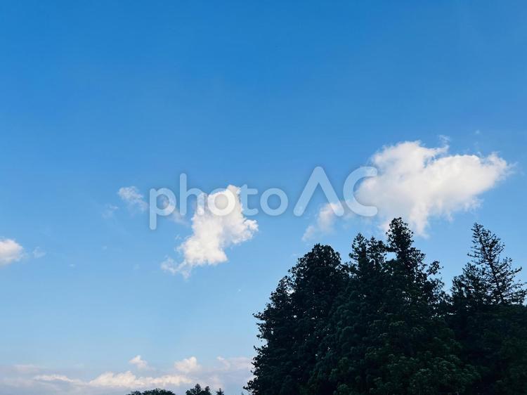 青空と緑樹の爽やかな夏景色 青空,空,雲の写真素材