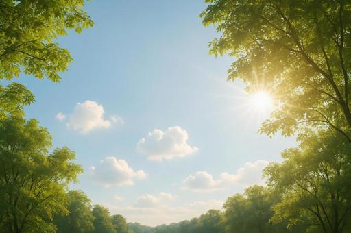 やわらかな木漏れ日と青空の癒し風景 やわらかな木漏れ日と青空の癒し風景の写真