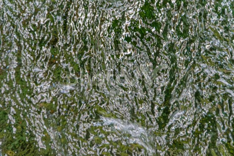 緑に映る水紋の模様 水,水紋,反射の写真素材