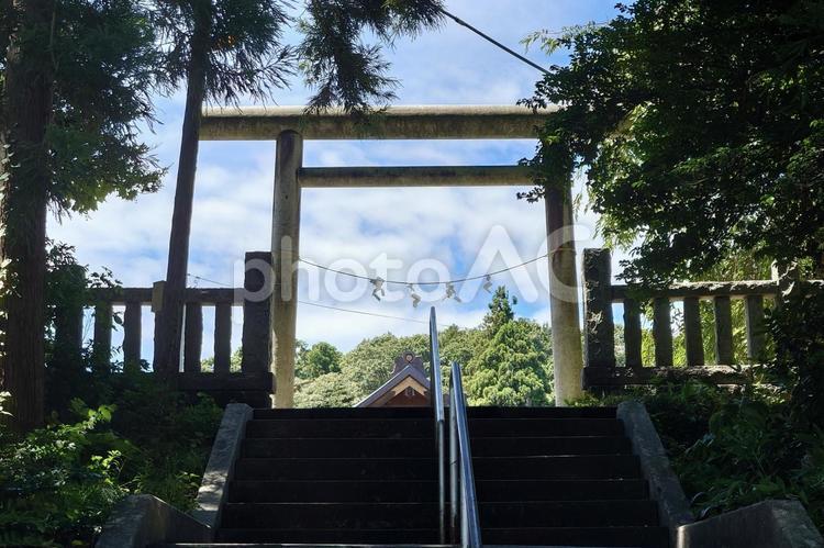 新潟県-居多神社-鳥居 居多神社,神社,越後国の写真素材