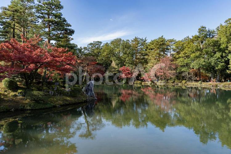 兼六園の紅葉 紅葉,秋,池の写真素材