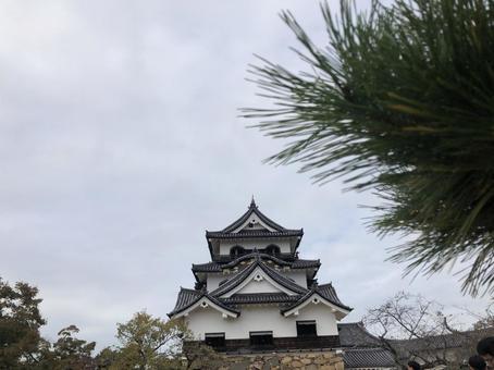 彦根城 彦根城の写真