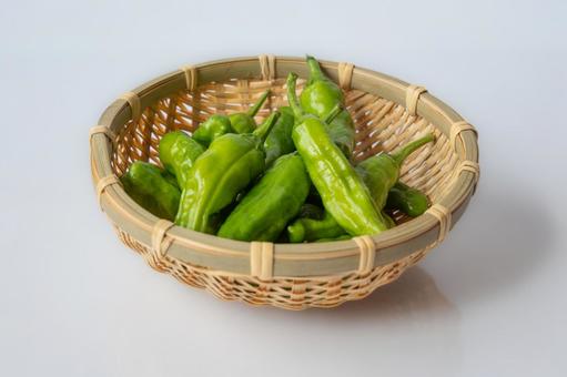 しし唐-01 しし唐-01 野菜,植物,食材の写真素材