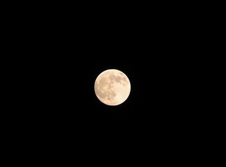 満月素材 満月素材 月,満月,夜空の写真素材