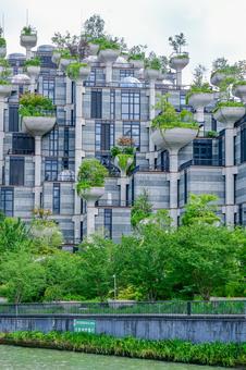 上海・天安千樹(1000trees) 上海・天安千樹(1000trees) 上海,天安千樹,1000treesの写真素材