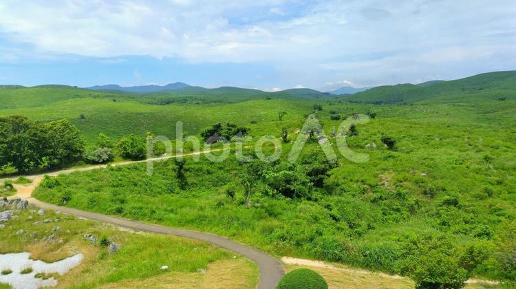 【山口県】秋吉台国定公園 秋吉台,カルスト台地,カルストの写真素材