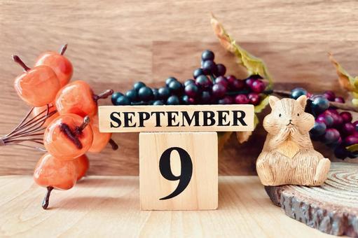 9月の背景素材と可愛い動物 9月の背景素材と可愛い動物の写真