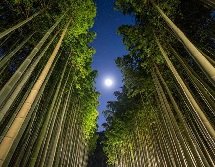 七夕の夜、月明かりに照らされる竹林と星空 七夕の夜、月明かりに照らされる竹林と星空の写真