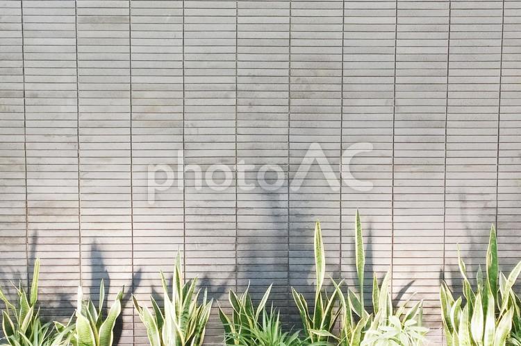 タイルの背景素材 タイル,背景,壁の写真素材