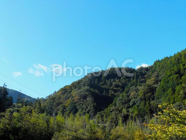 美しい青空と初秋の山の風景 山,樹々,秋の写真素材