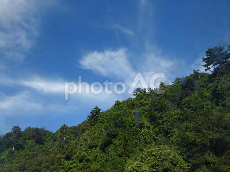 青空と森のイメージ 青空,空,雲の写真素材