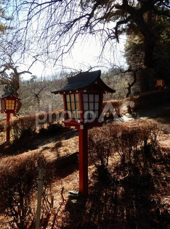 ひっそりと参拝者を迎える赤い灯ろう 灯篭,燈籠,燈篭の写真素材