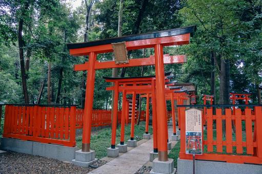 久伊豆神社の鳥居たち 久伊豆神社の鳥居たちの写真