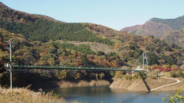 那須塩原 もみじ谷大吊り橋 秋の風景 那須塩原 もみじ谷大吊り橋 秋の風景 もみじ谷大吊り橋,橋,吊橋の写真素材