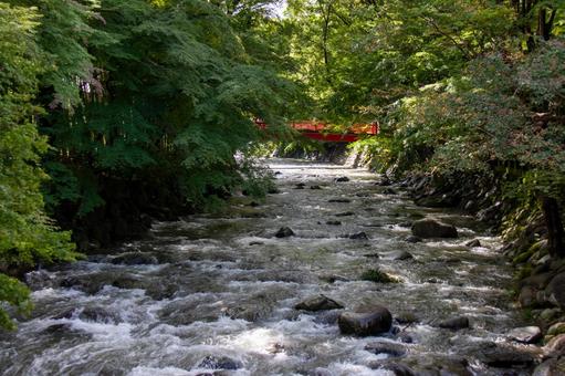 修善寺の風景⑹ 修善寺の風景⑹ 橋,竹林,川の写真素材