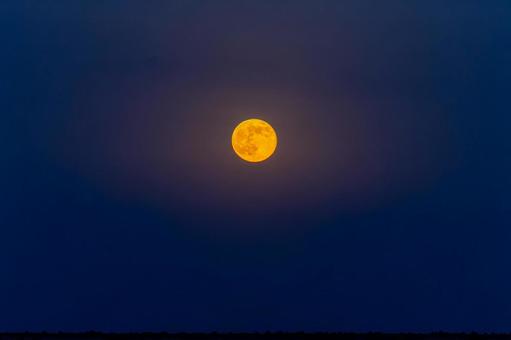 ある夜の満月 満月,月,月明かりの写真素材