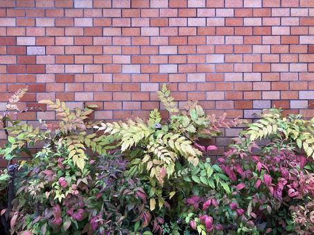 Photo, brick tile, implantation, southern sky, 