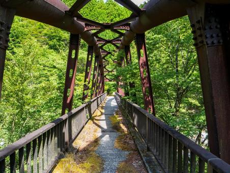 ユーシンの森 ユーシンの森の写真