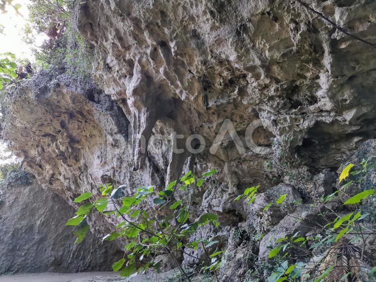 沖縄　世界遺産　斎場御嶽（せーふぁうたき 斎場御嶽,世界遺産,せーふぁうたきの写真素材