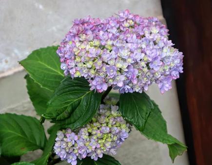 観光資源とされの写真