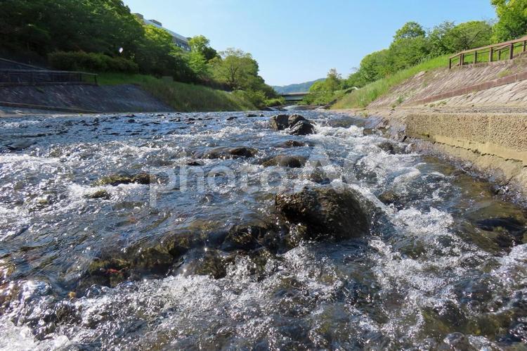 澄んだ川のせせらぎ 澄んだ川のせせらぎ 水,木,空の写真素材