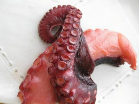 たこ煮 蛸 タコ煮物 蛸料理 柔らか煮 たこ煮 蛸 タコ煮物 蛸料理 柔らか煮の写真