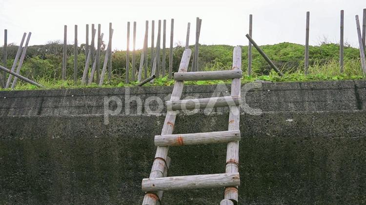 木製のハシゴ 海,砂浜,seaの写真素材