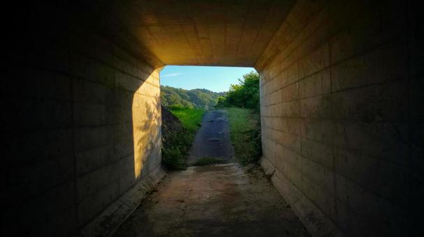 Photo, tunnel, path, cave, 