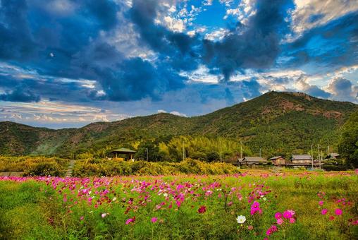 高御位山 播磨平野,山岳,平野の写真素材