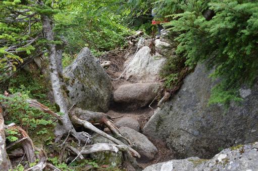剱岳・早月尾根の登山道 剱岳・早月尾根の登山道の写真