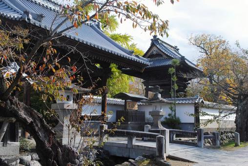 信州須坂の小京都普願寺参道の秋 信州須坂の小京都普願寺参道の秋 信州,須坂,町歩きの写真素材