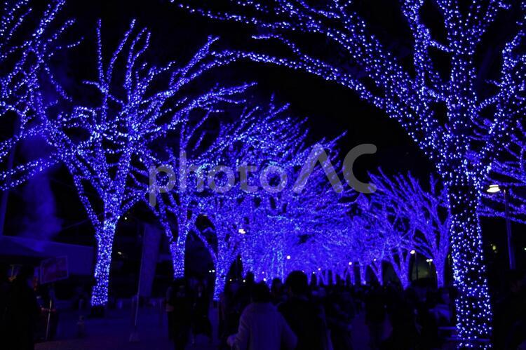 渋谷　青の洞窟 あかり,イルミネーション,カップルの写真素材