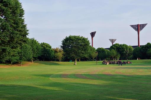 夏の公園にて 夏の公園にて 公園,夏,木立の写真素材