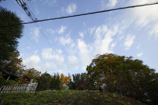 雲が流れる空 公園,雲,新緑の写真素材