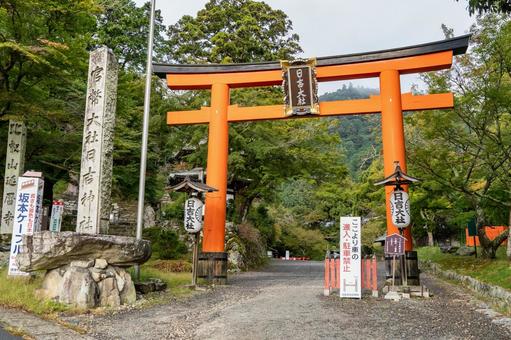滋賀　日吉大社　赤鳥居 日吉大社,日枝社,日吉の写真素材