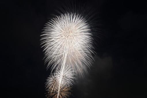 長岡花火2025 長岡花火,2025,長岡の写真素材