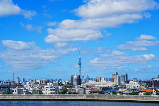 真夏の空の下のスカイツリー 真夏の空の下のスカイツリーの写真