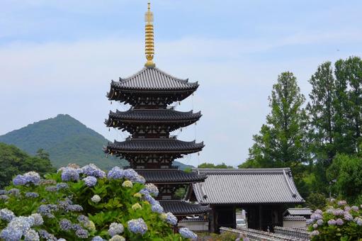 6月中旬の法然寺の五重塔とアジサイの花 6月中旬の法然寺の五重塔とアジサイの花の写真
