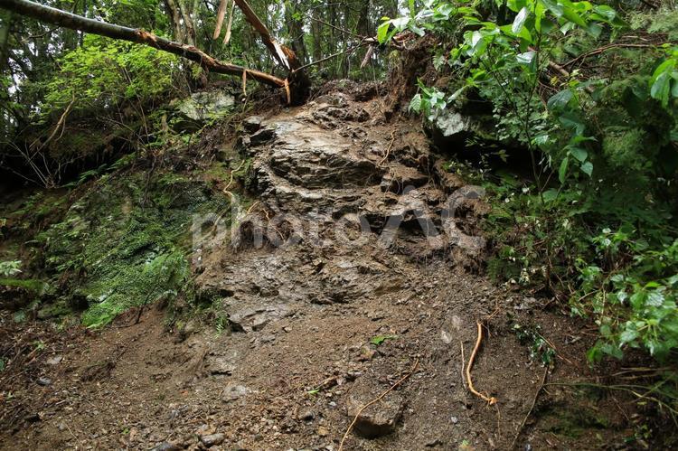 災害：落石と倒木 倒木,落石,土砂崩れの写真素材