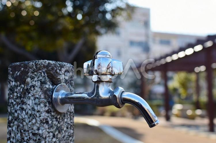 学校イメージ(水道・蛇口) 学校,水道,蛇口の写真素材