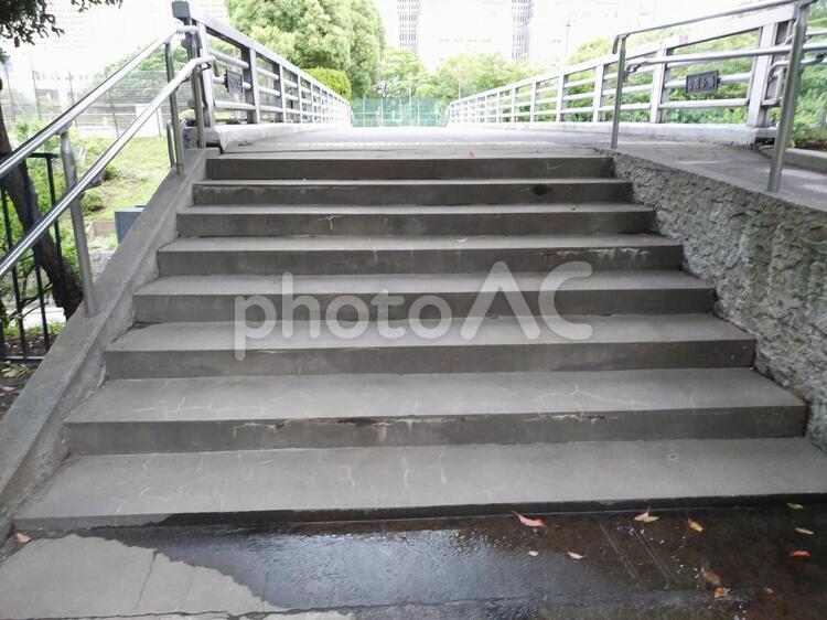 公園の階段 階段,緑,グリーンの写真素材