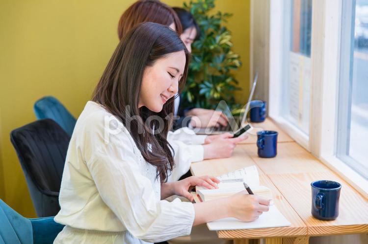 カフェの窓際カウンター席にいる女性（勉強） 勉強,学習,本の写真素材