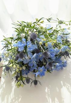 ブーケ ブーケ 花,デルフィニウム,青い花の写真素材